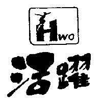 活躍及圖 HWO