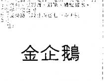 金企鵝