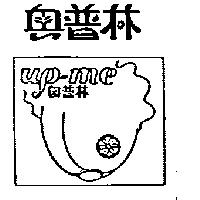 伯帝今