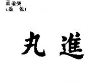 丸進