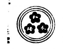 新永隆及圖