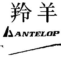 羚羊及圖 ANTELOP