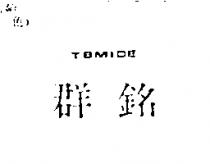 群銘 TBMIDE