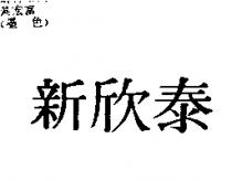 新欣泰