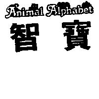 智寶及圖 ANIMAL ALPHABET