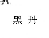 黑丹