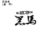 黑馬 BLACK HORSE