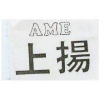 上揚 AME