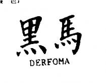 黑馬 DERFOMA