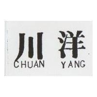 川洋 CHUAN YANG