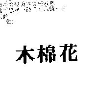 木棉花