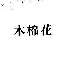 木棉花