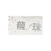 龍珠及圖