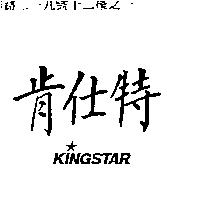 肯仕特 KINGSTAR