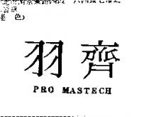 羽齊 PRO MASTECH