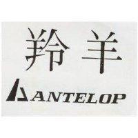 羚羊及圖 ANTELOP