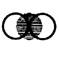 統洋影視公司標章