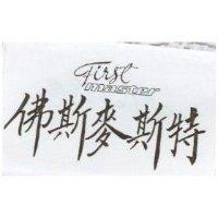 佛斯麥斯特 FIRST MASTER