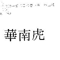 華南虎