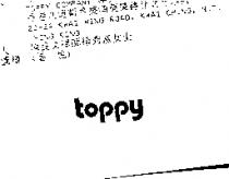 TOPPY