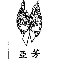 亞芳及圖