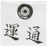 運通及圖 TATUNG