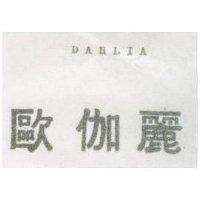 歐伽麗 DAHLIA