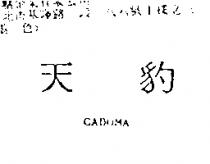 天豹 GADOMA