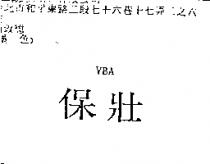 保壯 VBA