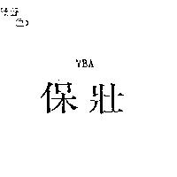 保壯 VBA