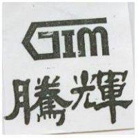 騰輝 GIM