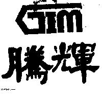 騰輝及 GIM