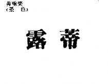 露蒂