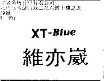 維亦崴 XT-BLUE