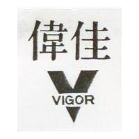 偉佳及圖 VIGOR