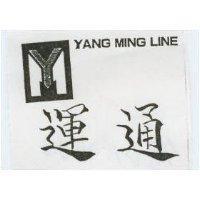 運通及圖 YANG MING LINE