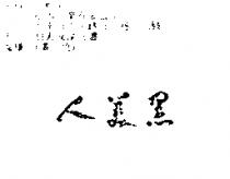 黑美人