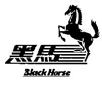 黑馬及圖 Black Horse