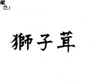 獅子茸