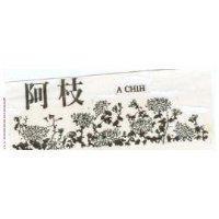 阿枝及圖