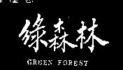 綠森林 GREEN FOREST