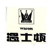 溫士頓及圖 WINSTON