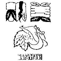 楓美及圖 MAPLEPERI