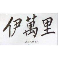 伊萬里 ARAMIS
