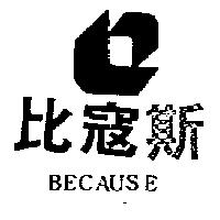 比寇斯及圖 BECAUSE