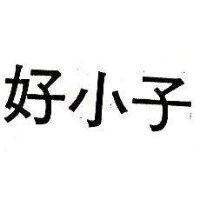 好小子