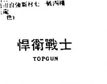悍衛戰士 TOPGUN