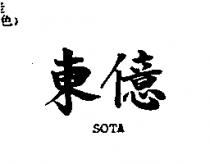 東億 sota