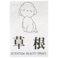 草根及圖 ATTENTION-BEAUTY-CRAZY