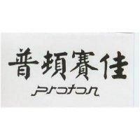 普頓賽佳 PROTON